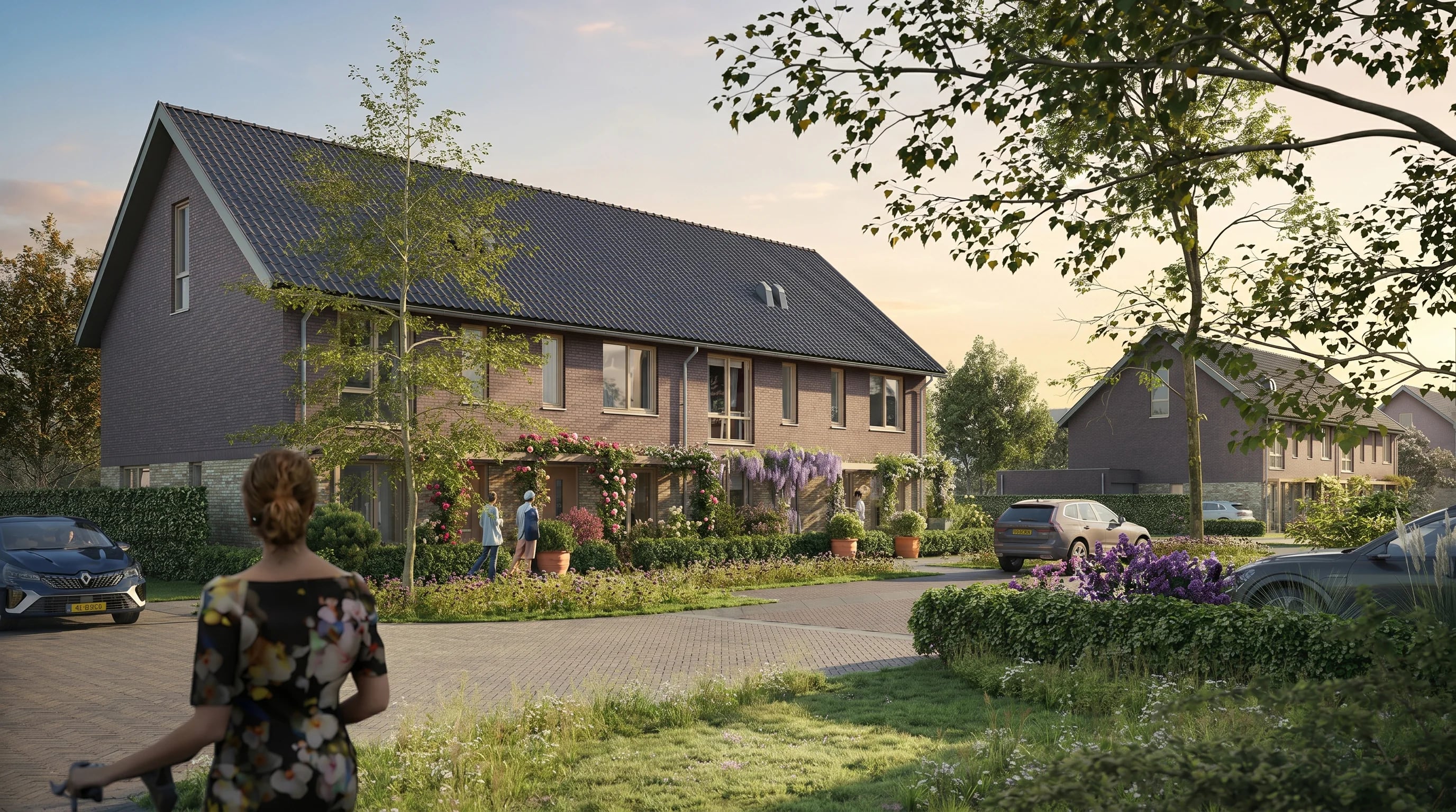 Molenblik — beeld